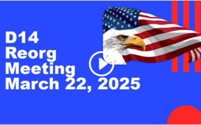 March 22, 2025 D14 Reorg Meeting